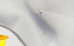 Dres adidas Real Madrid CF domácí 16/17 (použité zboží)