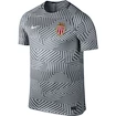 Dres Nike Squad AS Monaco FC 808830-043