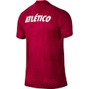 Dres Nike Squad Atlético Madrid 836805-668