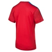 Dres Puma Česká republika Training Chilli Pepper 748753011