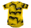 Dres Puma Stadium Borussia Dortmund 18/19 Yellow/Black