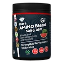 EXP GF Nutrition Intra Amino Blend 500 g grep