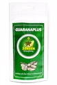 EXP GuaranaPlus Ženšen pravý 100 kapslí