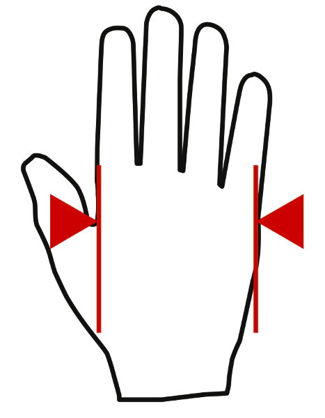 MadMax MTI-83.1 Fitness MFG831 - thumb (1)