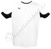 Fotbalový komplet dres Puma (dres, trenky, štulpny)