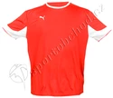 Fotbalový komplet dres Puma (dres, trenky, štulpny)