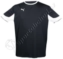 Fotbalový komplet dres Puma (dres, trenky, štulpny)
