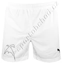 Fotbalový komplet dres Puma (dres, trenky, štulpny)