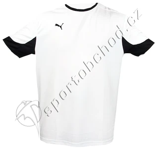 Fotbalový komplet dres Puma (dres, trenky, štulpny)