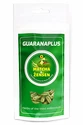 GuaranaPlus Matcha + Ženšen 100 kapslí