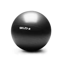 Gymnastický míč SKLZ Stability Ball 65 cm