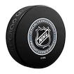 Hokejový puk Inglasco Inc.  Medallion Blister Detroit Red Wings