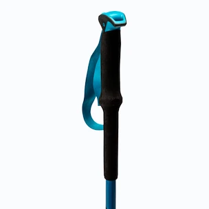 Hůlky Dynafit  Tour vario Frost