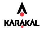 Karakal