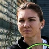 Simona Halep