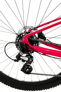 Kolo Rock Machine Catherine 40-29 2021