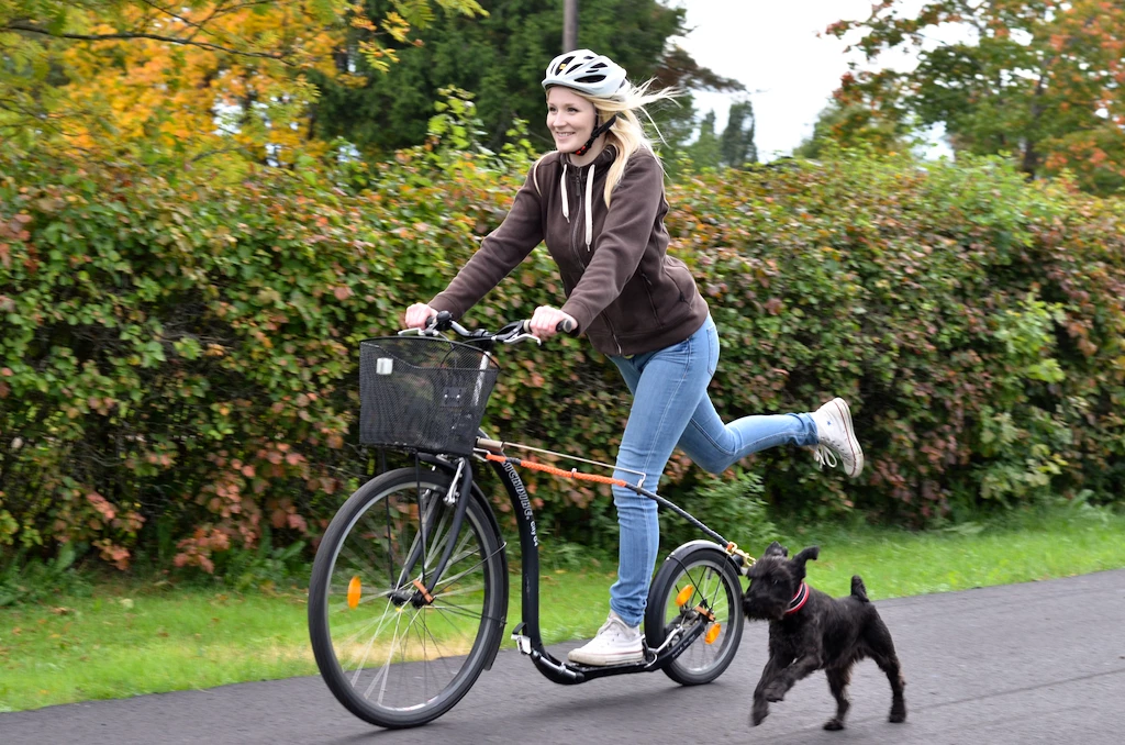 Koloběžka KICKBIKE  City G4