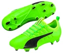 Kopačky Puma evoPOWER Vigor 2 FG