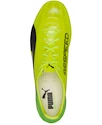 Kopačky Puma evoSPEED 17 SL S FG