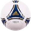 Kopačky Puma evoSpeed 5 FG + míč adidas FIFA Tango