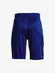 Kraťasy Under Armour UA Prototype 2.0 Logo Shorts-BLU
