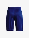 Kraťasy Under Armour UA Prototype 2.0 Logo Shorts-BLU