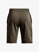 Kraťasy Under Armour UA RIVAL TERRY SHORT-GRN