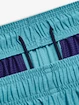 Kraťasy Under Armour UA Tech Vent Short-BLU