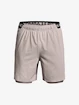 Kraťasy Under Armour UA Vanish Woven 2in1 Sts-GRY