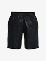 Kraťasy Under Armour UA Woven Emboss Shorts-BLK