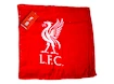 Malý ručník Liverpool FC