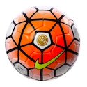 Míč Nike Premier Team FIFA