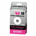 Míčky Butterfly  Training Ball 40+ White (6 ks)