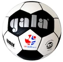 Nohejbalový míč Gala BN 5042S Official