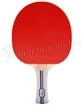 Pálka Butterfly Timo Boll 700