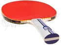 Pálka Butterfly Timo Boll 700