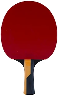 Pálka na stolní tenis Butterfly  Boll Carbon