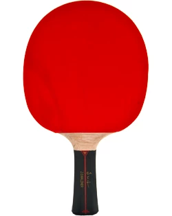 Pálka na stolní tenis Donic Schildkröt  Waldner 1000