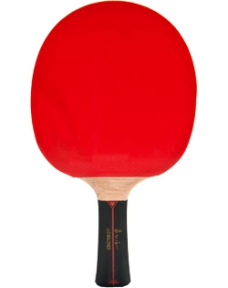 Pálka na stolní tenis Donic Schildkröt  Waldner 1000