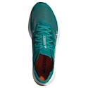 Pánská běžecká obuv adidas Terrex Agravic Speed Purtea/Greone/Cblack
