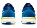 Pánská běžecká obuv Asics Evoride modro-zelená