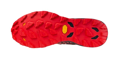 Pánská běžecká obuv Mizuno  Wave Daichi  8 Cayenne/Black/High Risk Red  UK 10