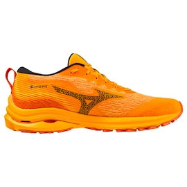 Pánská běžecká obuv Mizuno Wave Rider Gtx Zinnia/Tigerlily/Black