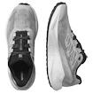 Pánská běžecká obuv Salomon Aero Blaze 3 GRVL Lunar Rock/White/Black