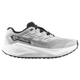Pánská běžecká obuv Salomon Aero Blaze 3 GRVL Lunar Rock/White/Black