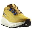 Pánská běžecká obuv Salomon Aero Blaze 3 GRVL Spicy Mustard/Vanilla Ice/Nautical Blue