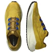 Pánská běžecká obuv Salomon Aero Blaze 3 GRVL Spicy Mustard/Vanilla Ice/Nautical Blue