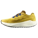 Pánská běžecká obuv Salomon Aero Blaze 3 GRVL Spicy Mustard/Vanilla Ice/Nautical Blue