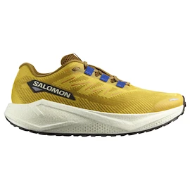 Pánská běžecká obuv Salomon Aero Blaze 3 GRVL Spicy Mustard/Vanilla Ice/Nautical Blue