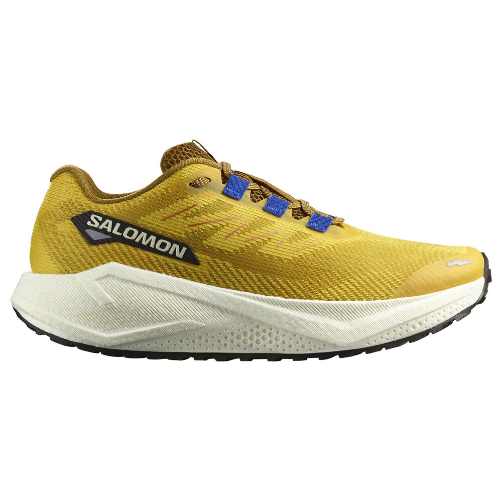 Product detail of Pánská běžecká obuv Salomon Aero Blaze 3 GRVL Spicy Mustard/Vanilla Ice/Nautical Blue   UK 8